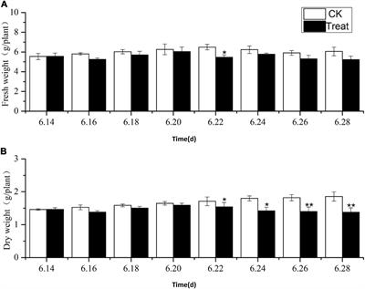 Changes in the Leaf Physiological Characteristics and Tissue-Specific Distribution of Ginsenosides in Panax ginseng During Flowering Stage Under Cold Stress